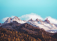 B体育app下载-奥尼尔：科比为湖人夺冠而高兴 OK组合不可被复制